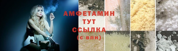 крисы Абаза