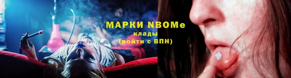 крисы Абаза