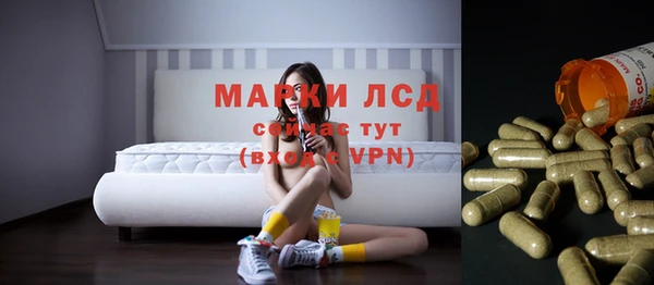 крисы Абаза