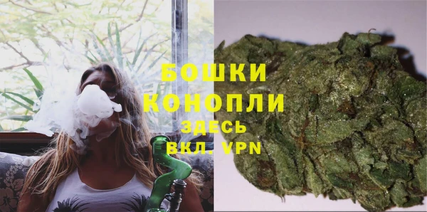mdpv Рославль