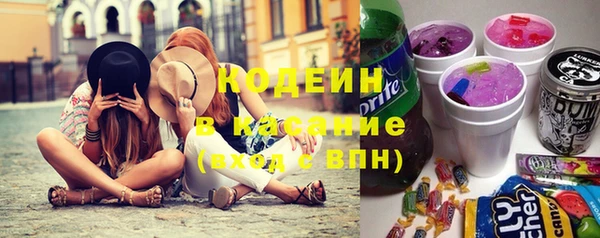 крисы Абаза
