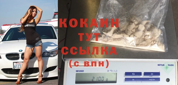 крисы Абаза