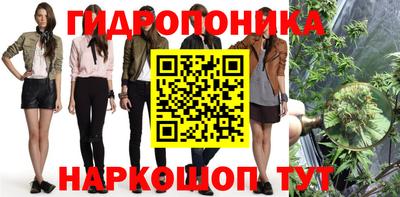 амф Гусев