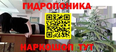 амф Гусев