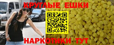 амф Гусев