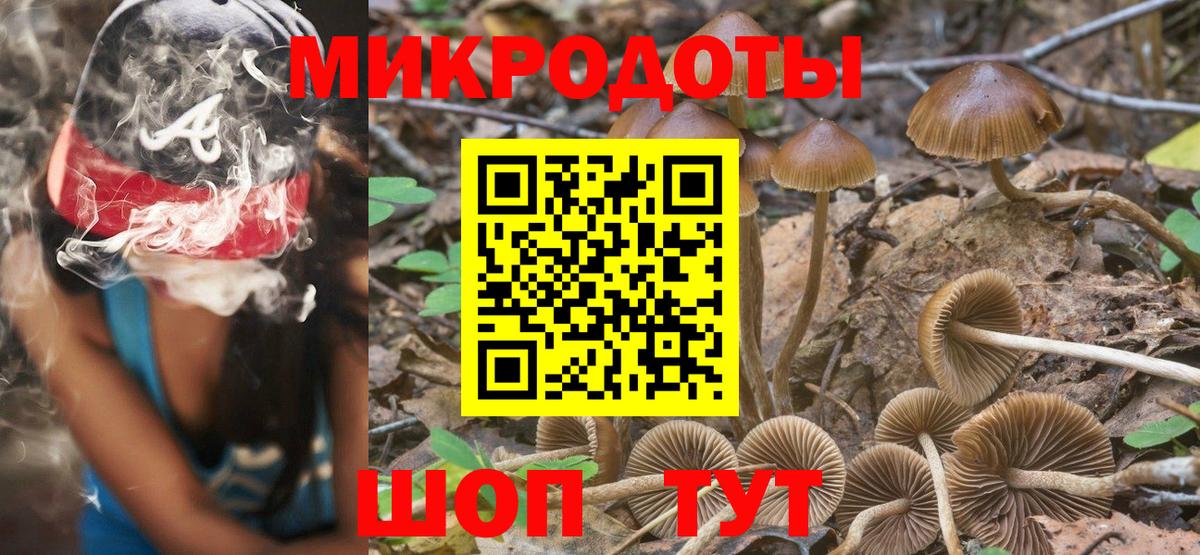 Кингисепп  Галлюциногенные грибы прущие грибы  Вход с VPN 