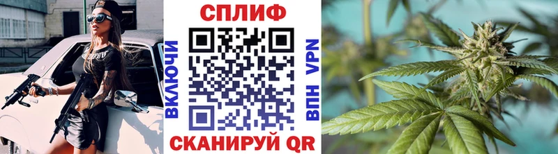 Канабис план  сколько стоит  Кингисепп 